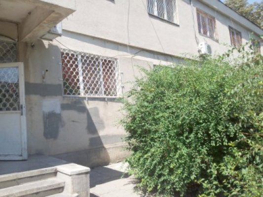 Clinica de Stomatologie de pe Suceava, îngropată de boscheţi